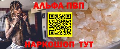 дживик Моздок