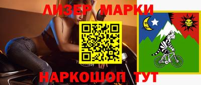 крисы Можга