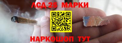 дживик Моздок