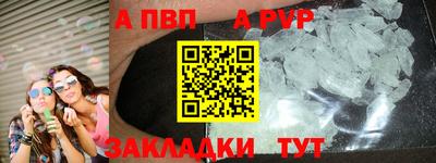 крисы Можга
