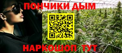 крисы Можга
