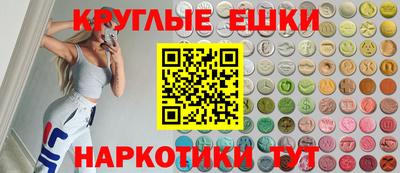 крисы Можга