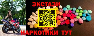 крисы Можга